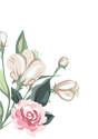 phcare-flower